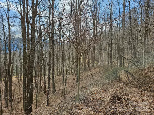 Waynesville, NC 28785,00 Wolverine CT #45