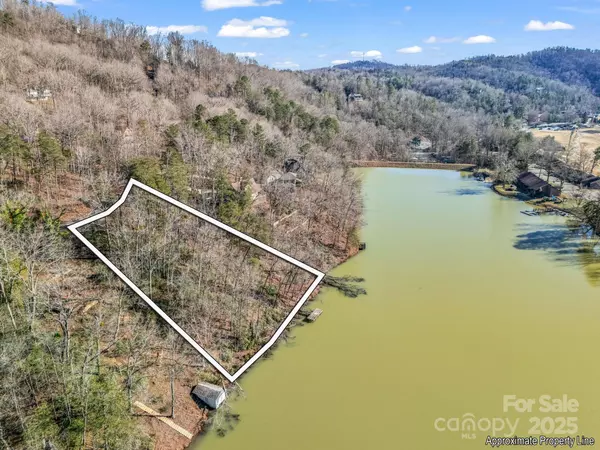 Lake Lure, NC 28746,00 Buffalo Creek RD
