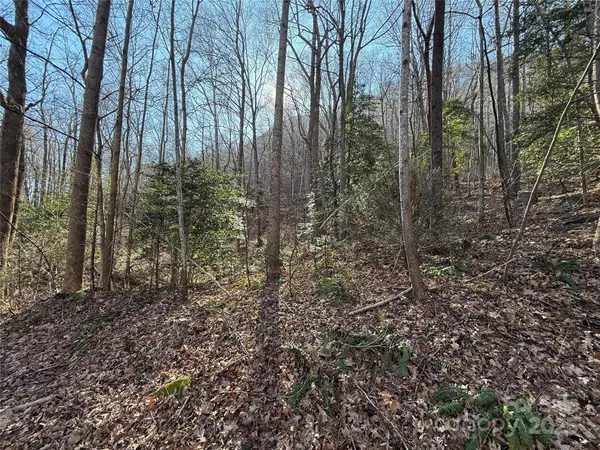 Lot 343 Bolt RD, Lake Lure, NC 28746