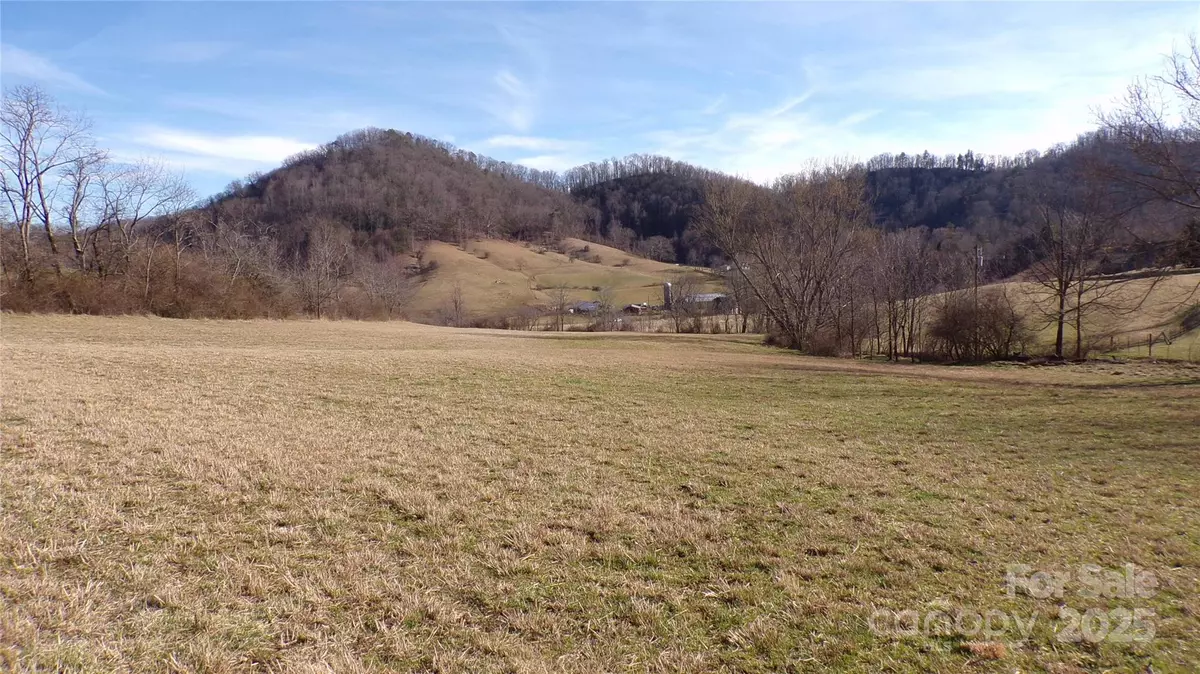 Leicester, NC 28748,99999 Green Valley RD
