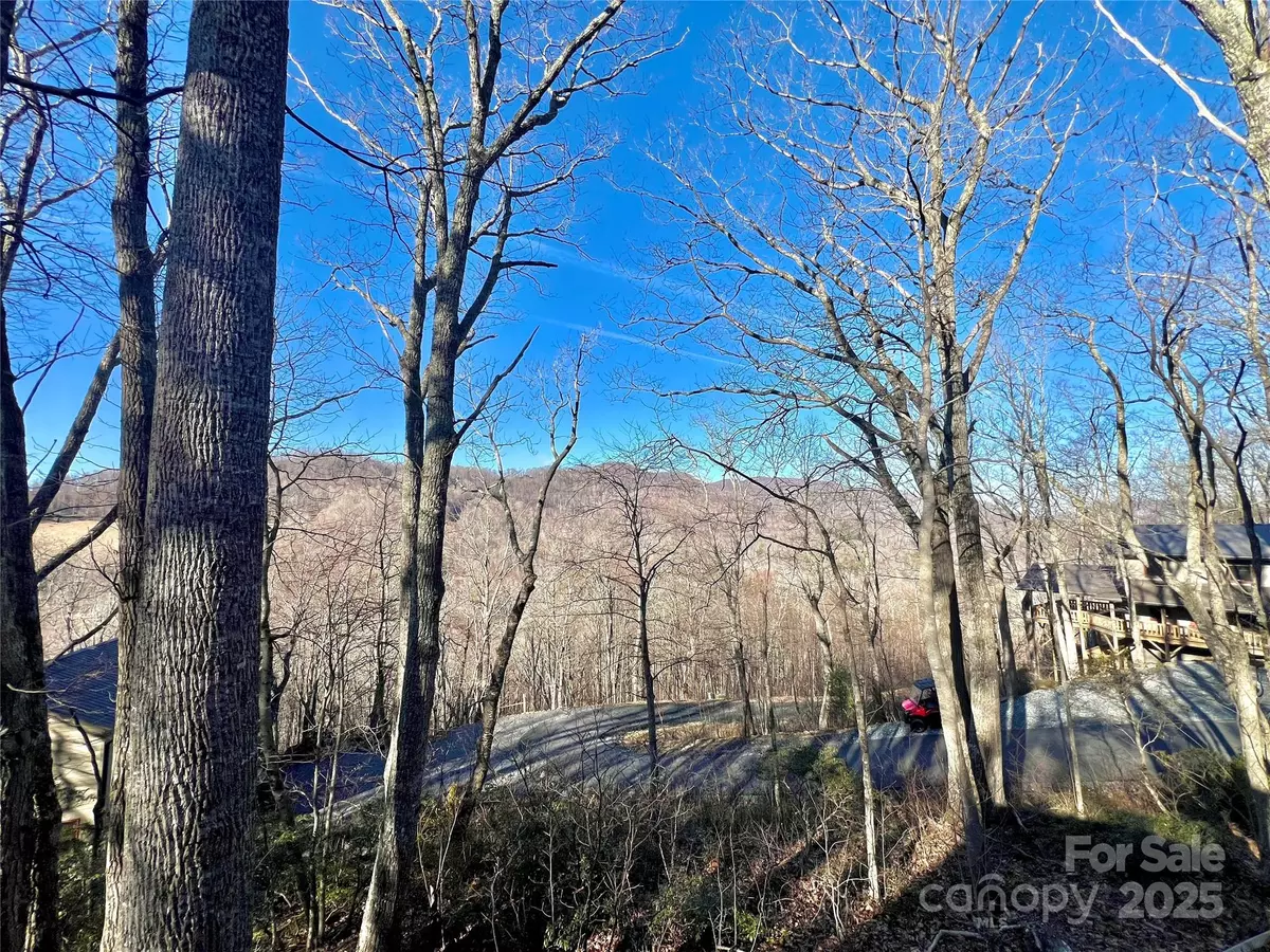 Todd, NC 28684,305 Laurel Mountain Estates DR