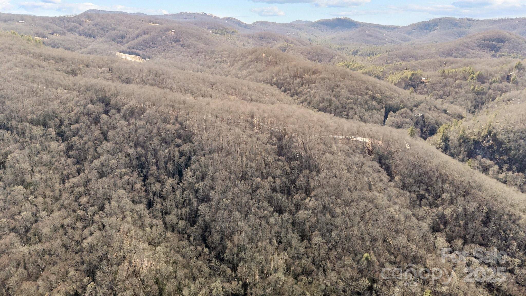 Glenville, NC 28736,Lot F115 Leafy Knoll CIR