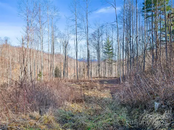 TBD Prices Creek RD, Burnsville, NC 28714