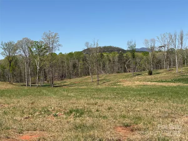 Columbus, NC 28722,00 Landrum RD