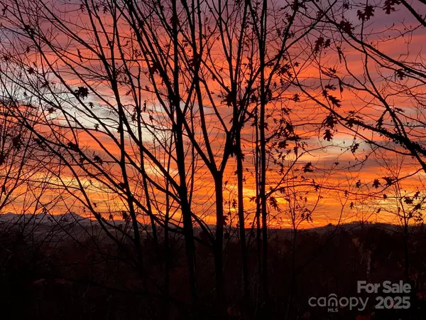 Hendersonville, NC 28739,180 High Road Overlook