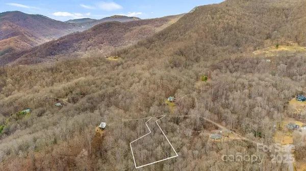 Waynesville, NC 28785,TBD Wolverine CT #42