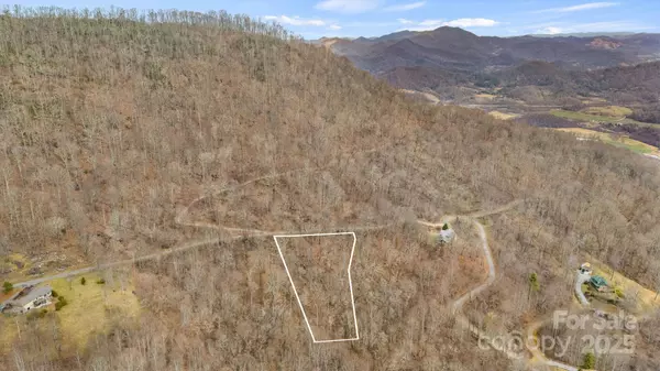 Waynesville, NC 28785,TBD Live Oak LOOP #65