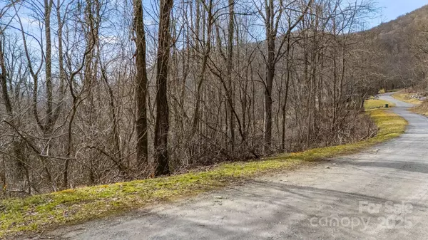 Waynesville, NC 28785,TBD Live Oak LOOP #67