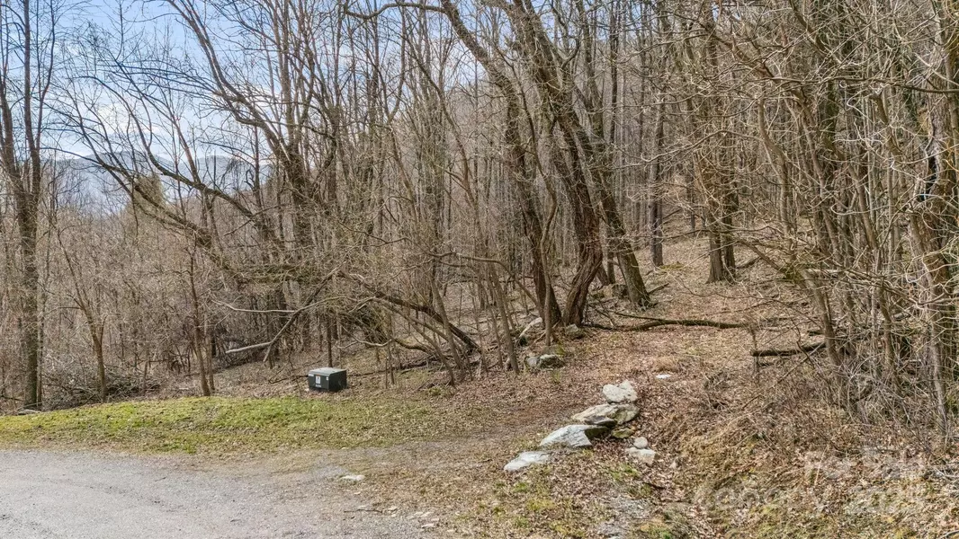 TBD Live Oak LOOP #93/95, Waynesville, NC 28785