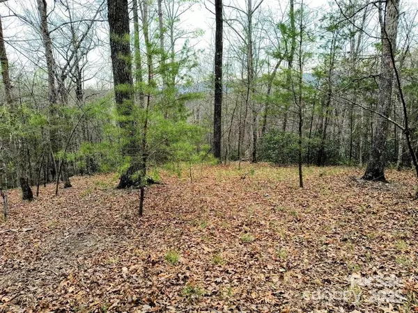 Mill Spring, NC 28756,Lot #28 Lake Adger Pkwy #28