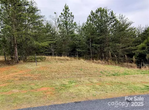 Mill Spring, NC 28756,Lot #28 Lake Adger Pkwy #28