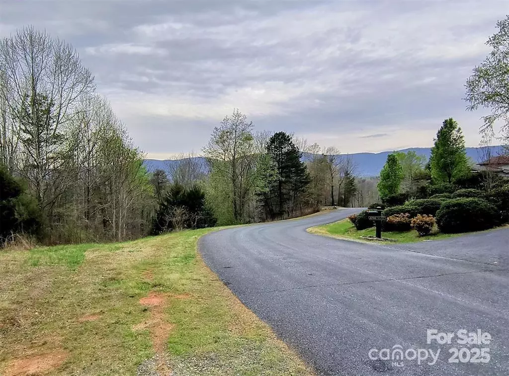 Mill Spring, NC 28756,Lot #28 Lake Adger Pkwy #28