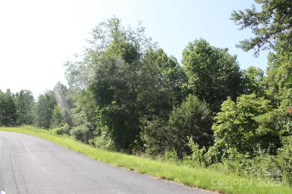 Mill Spring, NC 28756,Lot #28 Lake Adger Pkwy #28
