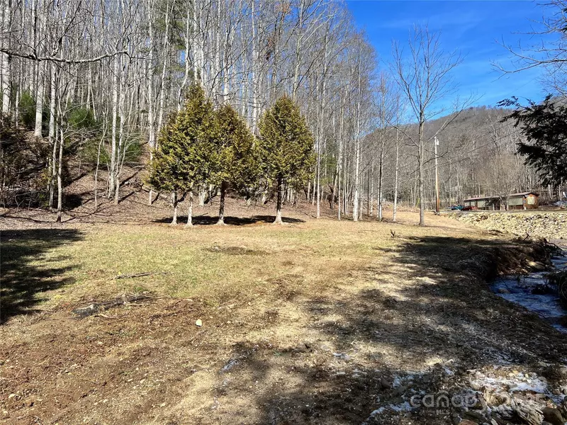 1087 Plum Branch RD, Burnsville, NC 28714