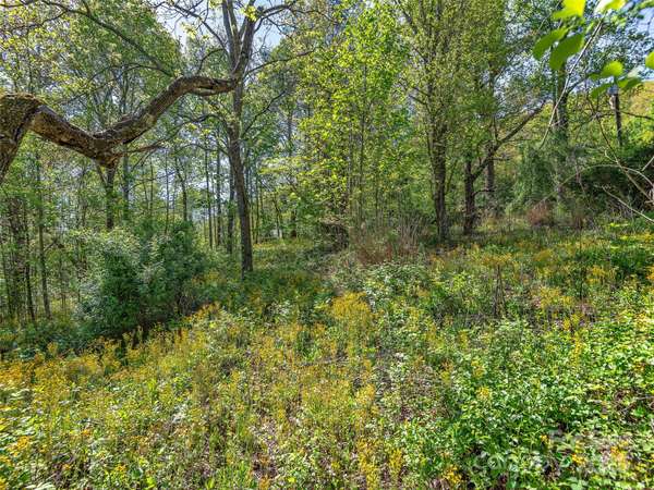 99999 Bob Barnwell RD, Asheville, NC 28803