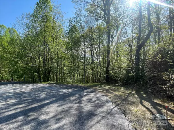 Flat Rock, NC 28731,59 Mint Hill CT