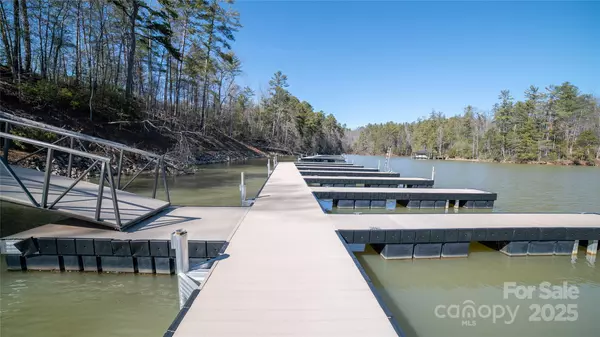 Nebo, NC 28761,1156 Campbells TRCE #64
