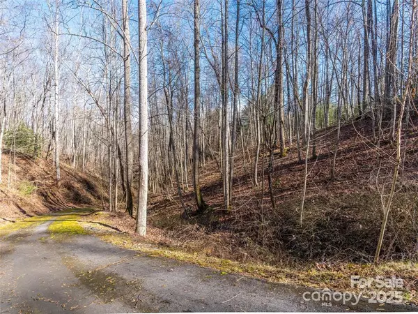 Fairview, NC 28730,19 & 20 Marcus Ridge DR #26/34