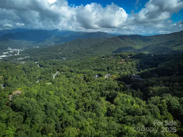 Black Mountain, NC 28711,66 Sisters View DR #159