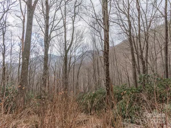 Clyde, NC 28721,00 Bald Creek RD