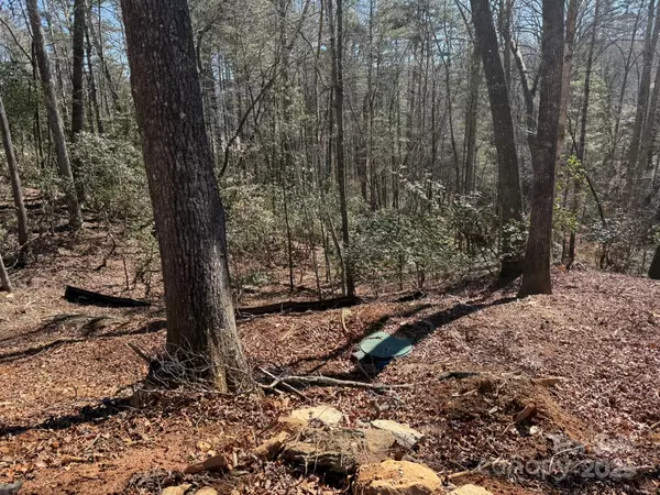 Brevard, NC 28712,355 Oxford CT