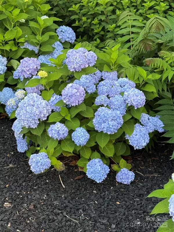 Asheboro, NC 27205,3158 Cane Mill RD