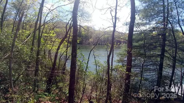 Tuckasegee, NC 28783,Lot 5 Dars LN #5