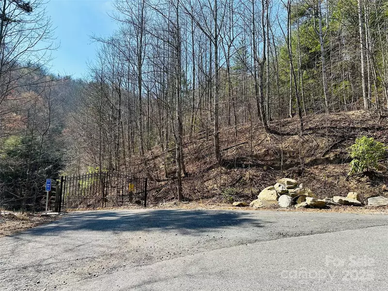 00 Staghorn RD, Purlear, NC 28665