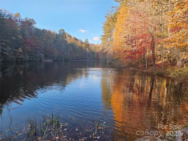 Camp 3 Long Branch RD,  Brevard,  NC 28712