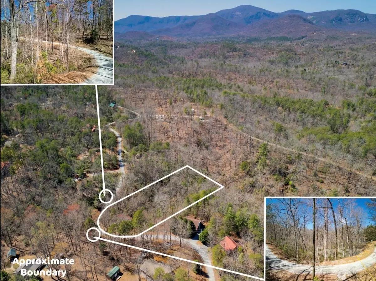 Lake Lure, NC 28746,0 Wolf TRL
