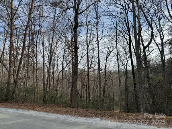 Lake Lure, NC 28746,0 Sanderling CT