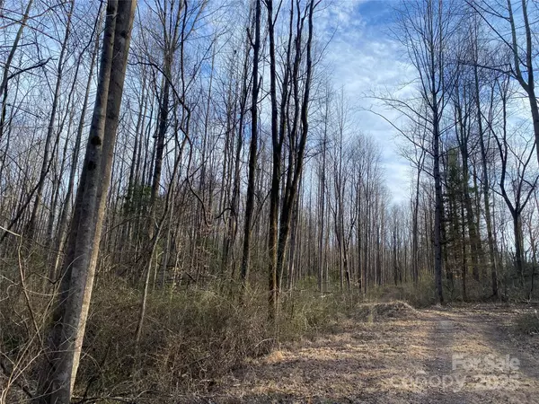 Nebo, NC 28761,3288 Tatertown LOOP #3