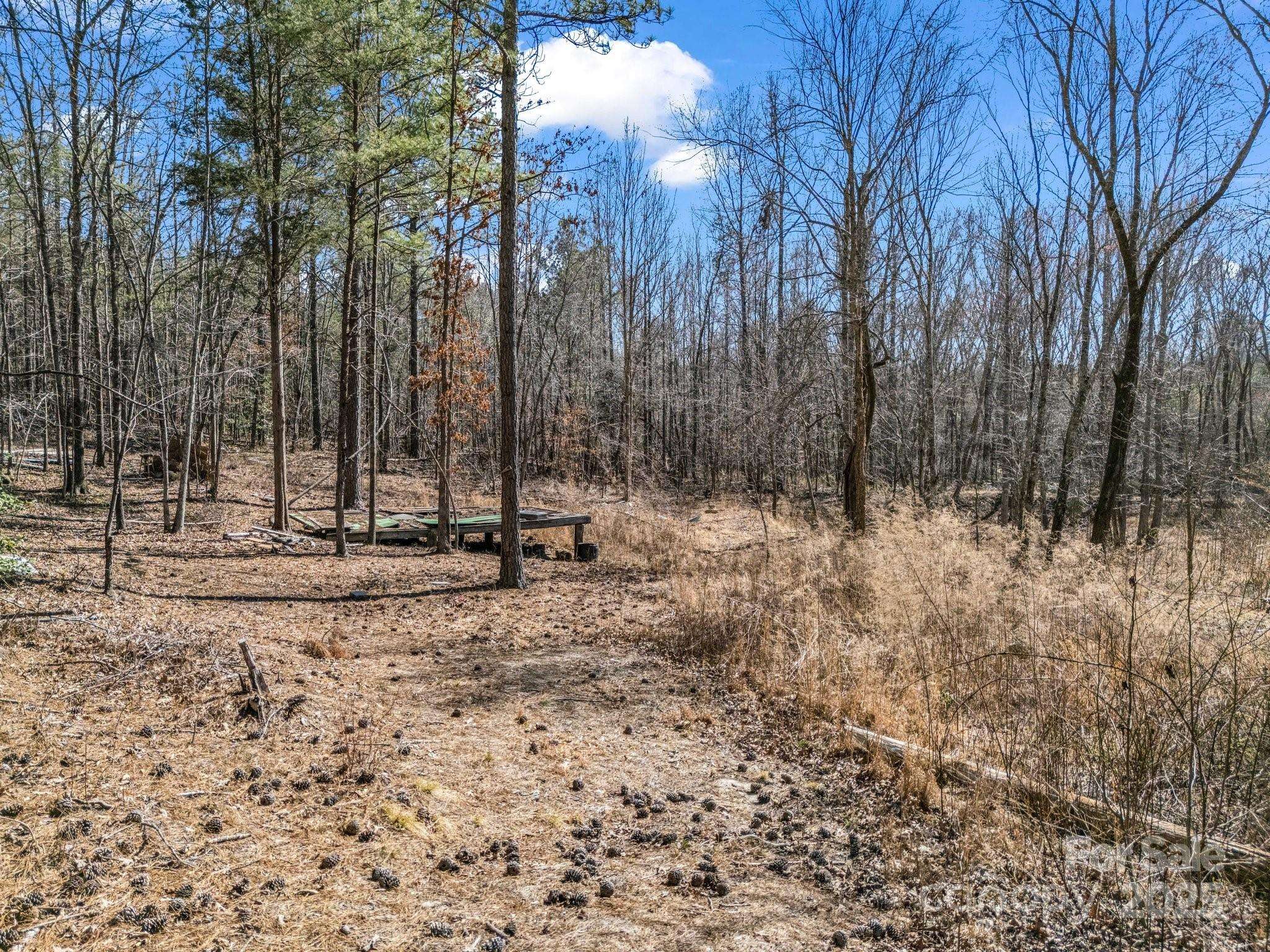 Rutherfordton, NC 28139,00 Petite CT