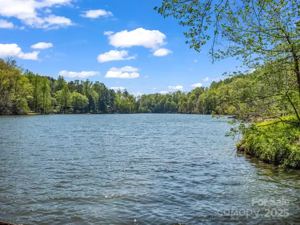 Lake Lure, NC 28746,1973 Buffalo Creek RD