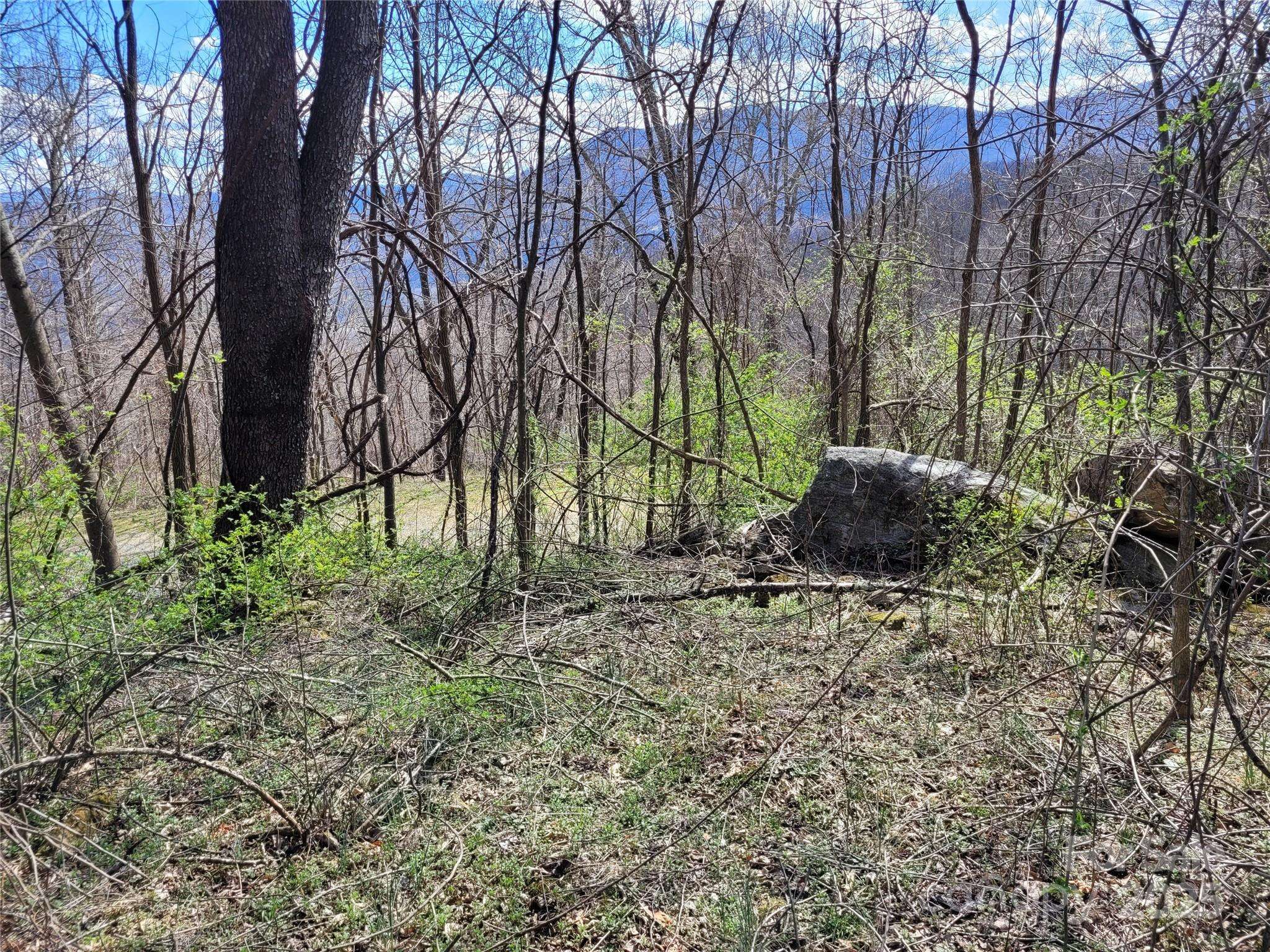 Waynesville, NC 28785,0 Purple Martin LN #22
