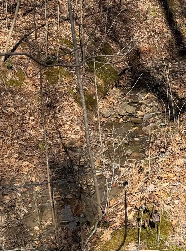 Tryon, NC 28782,206 Westmoreland TRL #8