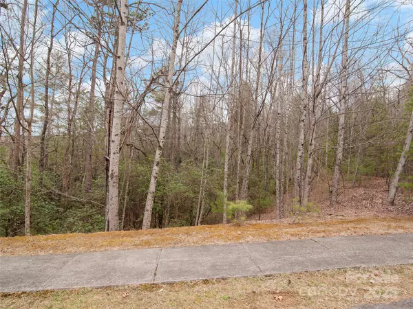 Brevard, NC 28712,0 Springhouse TRL #15