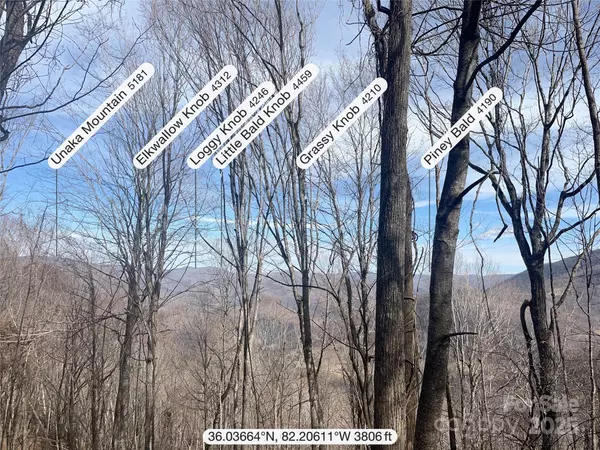 Bakersville, NC 28705,TBD Tyler LN