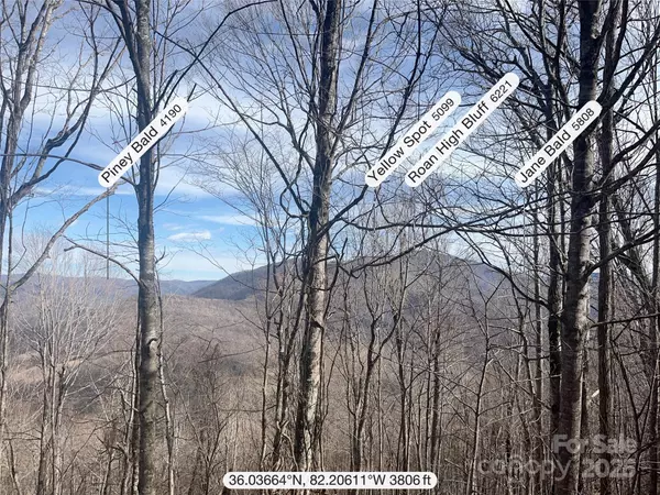 Bakersville, NC 28705,TBD Tyler LN