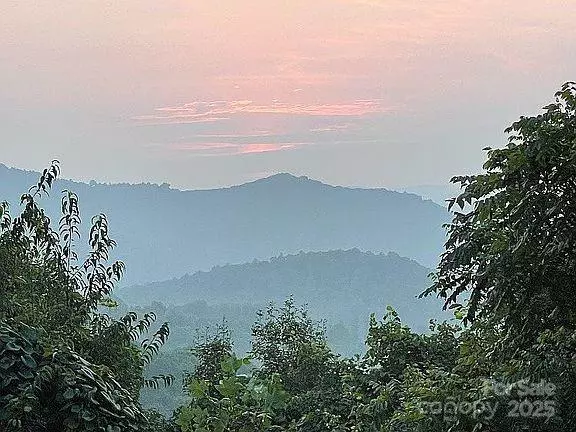 Elk Park, NC 28622,0 Dark Ridge RD