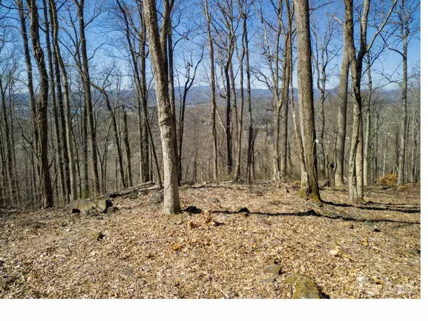 Asheville, NC 28803,99999 Old Forest DR #2CR