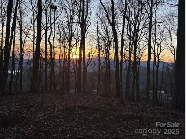 99999 Old Forest DR #2CR,  Asheville,  NC 28803