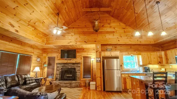 Whittier, NC 28789,187 Gardeners Cove RD