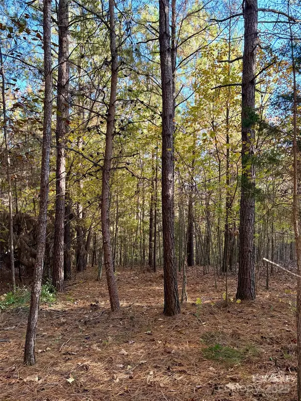 Rutherfordton, NC 28139,0 Cross Creek DR #261