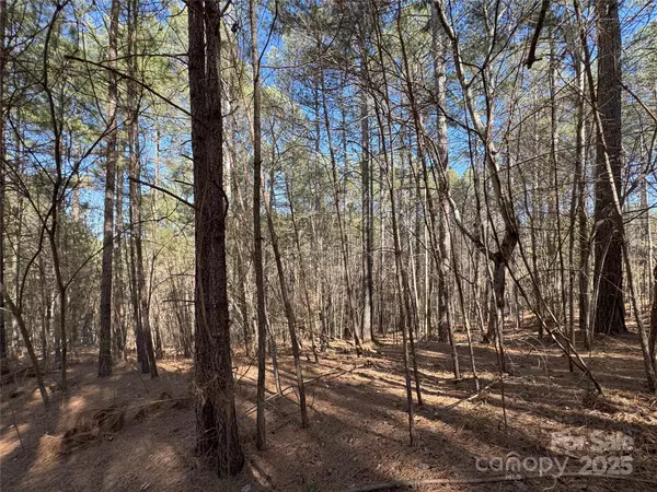 Granite Falls, NC 28638,5582 Bridgewater DR