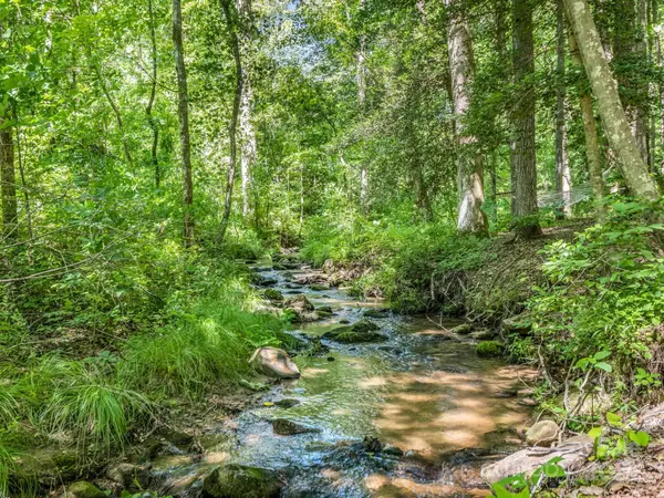 Lake Lure, NC 28746,147 Roundabout RD