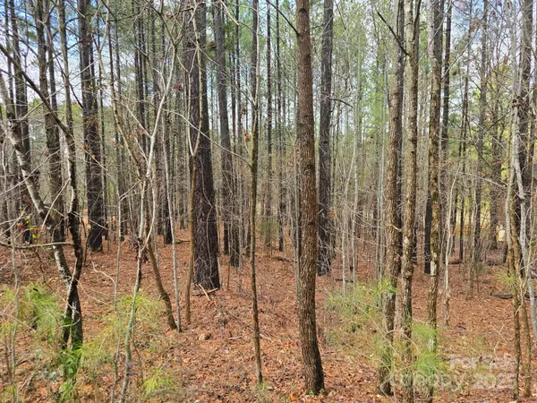 Denton, NC 27239,225 Cove Wood DR