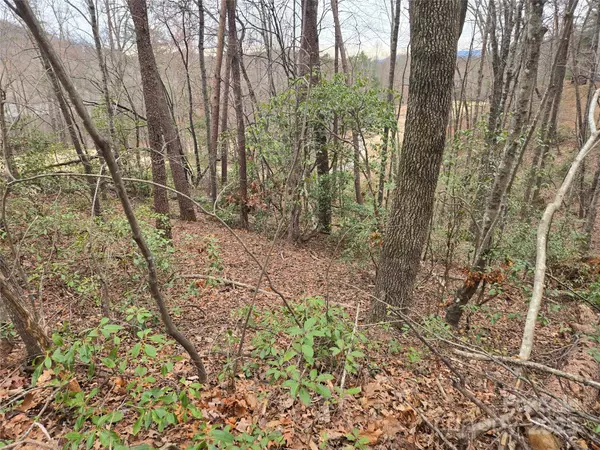Lake Lure, NC 28746,Lot 28 Roundabout RD