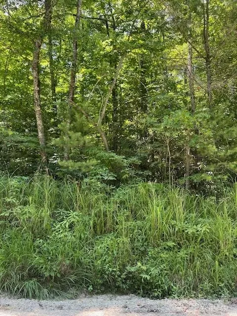 Hendersonville, NC 28792,0 Pleasant Grove Church RD #3A