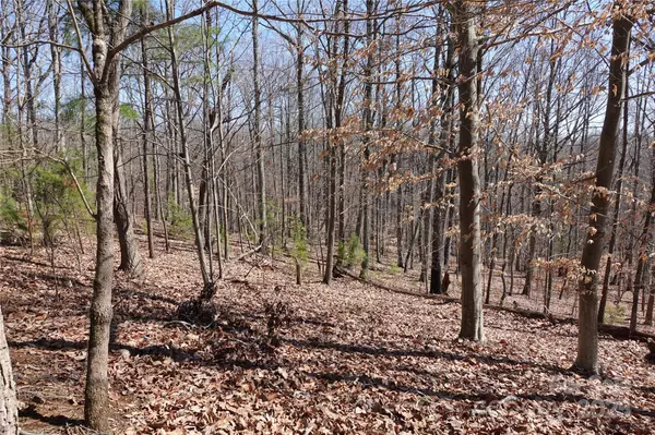Charlotte, NC 28278,14427 Roe Buck Meadow LN